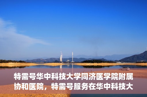 特需号华中科技大学同济医学院附属协和医院，特需号服务在华中科技大学同济医学院附属协和医院，一站式健康体验与医疗关怀新篇章