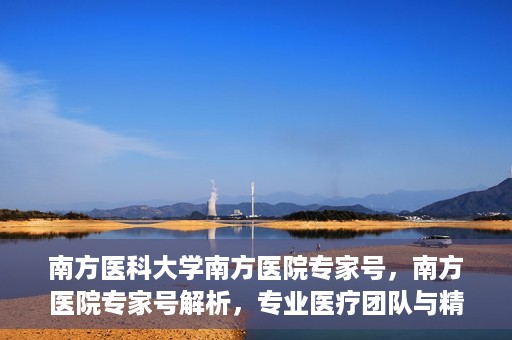 南方医科大学南方医院专家号，南方医院专家号解析，专业医疗团队与精准诊疗服务