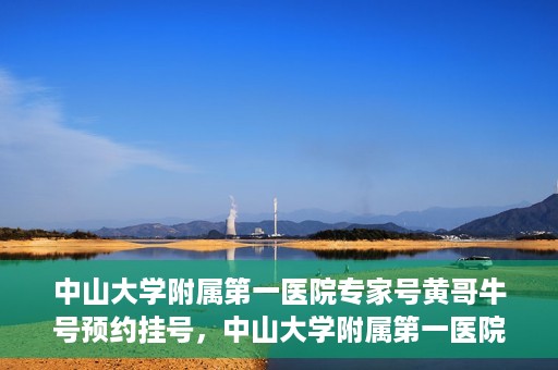 中山大学附属第一医院专家号黄哥牛号预约挂号，中山大学附属第一医院专家黄哥牛号预约攻略，一站式挂号解析