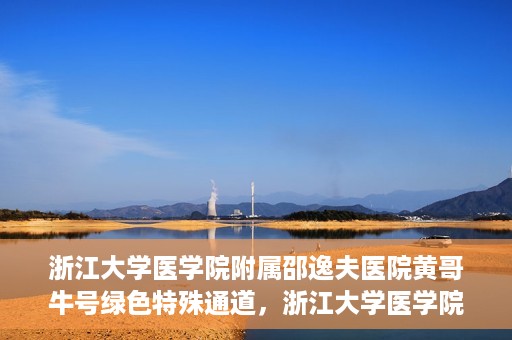 浙江大学医学院附属邵逸夫医院黄哥牛号绿色特殊通道，浙江大学医学院附属邵逸夫医院绿色特殊通道，黄哥牛号的传奇之路