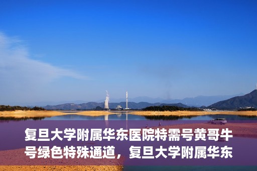 复旦大学附属华东医院特需号黄哥牛号绿色特殊通道，复旦大学附属华东医院特需号黄哥牛号，绿色通道的独家体验