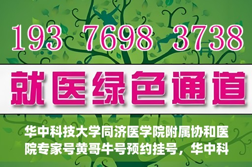 华中科技大学同济医学院附属协和医院专家号黄哥牛号预约挂号，华中科技大学同济医学院附属协和医院专家号黄哥牛号预约挂号攻略