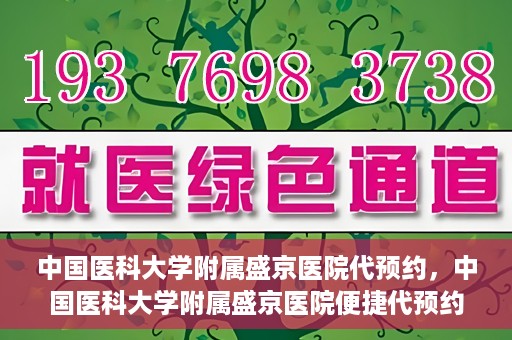 中国医科大学附属盛京医院代预约，中国医科大学附属盛京医院便捷代预约服务解析
