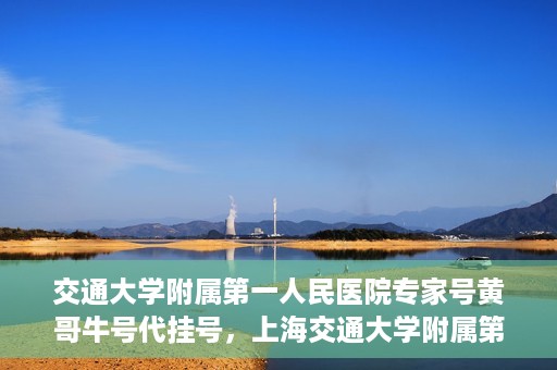 交通大学附属第一人民医院专家号黄哥牛号代挂号，上海交通大学附属第一人民医院专家号代挂号背后的故事——黄哥牛号传奇