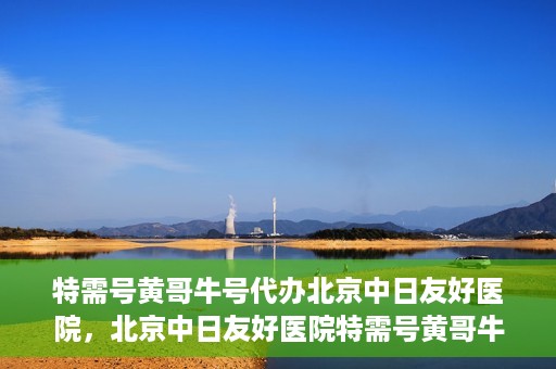 特需号黄哥牛号代办北京中日友好医院，北京中日友好医院特需号黄哥牛号代办服务详解