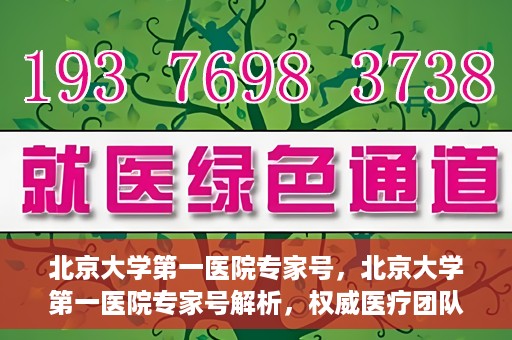 北京大学第一医院专家号，北京大学第一医院专家号解析，权威医疗团队的专业解读与诊疗之道