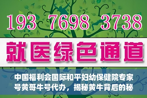 中国福利会国际和平妇幼保健院专家号黄哥牛号代办，揭秘黄牛背后的秘密，中国福利会国际和平妇幼保健院专家号代办乱象解探