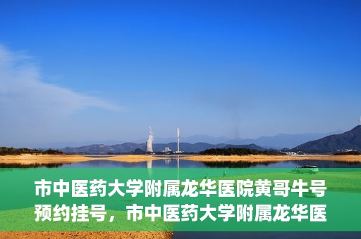 市中医药大学附属龙华医院黄哥牛号预约挂号，市中医药大学附属龙华医院黄哥牛号预约挂号攻略揭秘