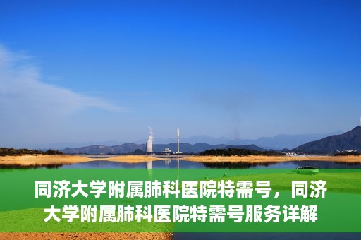 同济大学附属肺科医院特需号，同济大学附属肺科医院特需号服务详解