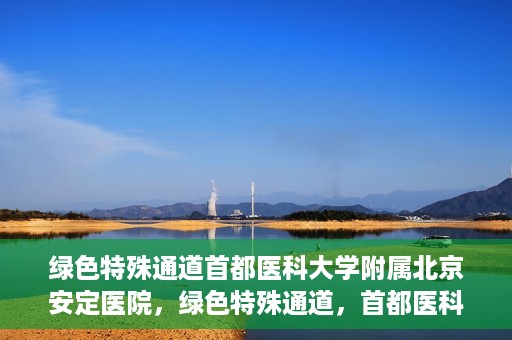 绿色特殊通道首都医科大学附属北京安定医院，绿色特殊通道，首都医科大学附属北京安定医院的探索与实践