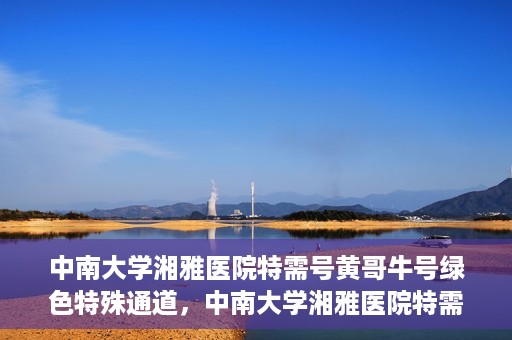 中南大学湘雅医院特需号黄哥牛号绿色特殊通道，中南大学湘雅医院特需号黄哥牛号，绿色特殊通道开启健康之门