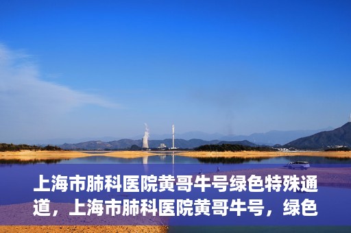 上海市肺科医院黄哥牛号绿色特殊通道，上海市肺科医院黄哥牛号，绿色特殊通道开启健康之门