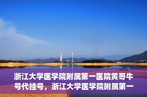 浙江大学医学院附属第一医院黄哥牛号代挂号，浙江大学医学院附属第一医院黄哥牛号代挂号服务解析