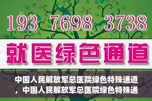 中国人民解放军总医院绿色特殊通道，中国人民解放军总医院绿色特殊通道，医疗服务的紧急通道与人文关怀的完美结合
