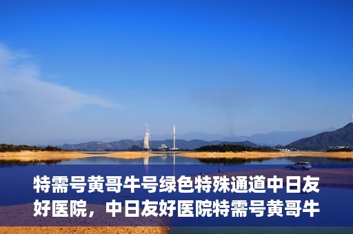 特需号黄哥牛号绿色特殊通道中日友好医院，中日友好医院特需号黄哥牛号绿色特殊通道揭秘
