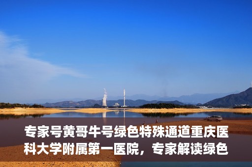 专家号黄哥牛号绿色特殊通道重庆医科大学附属第一医院，专家解读绿色特殊通道，重庆医科大学附属第一医院黄哥牛号实践探索