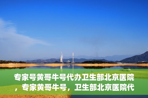 专家号黄哥牛号代办卫生部北京医院，专家黄哥牛号，卫生部北京医院代办服务解析