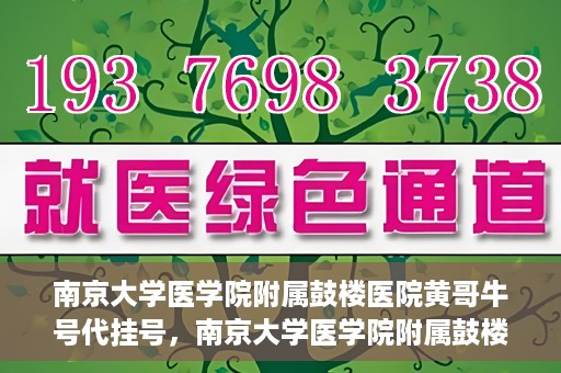 南京大学医学院附属鼓楼医院黄哥牛号代挂号，南京大学医学院附属鼓楼医院黄哥牛号代挂号解析，专业解读与预约攻略
