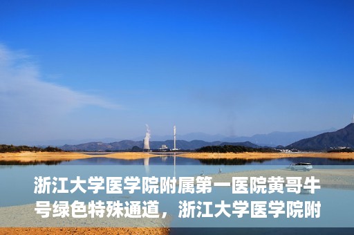 浙江大学医学院附属第一医院黄哥牛号绿色特殊通道，浙江大学医学院附属第一医院绿色特殊通道，黄哥牛号引领医疗创新之路