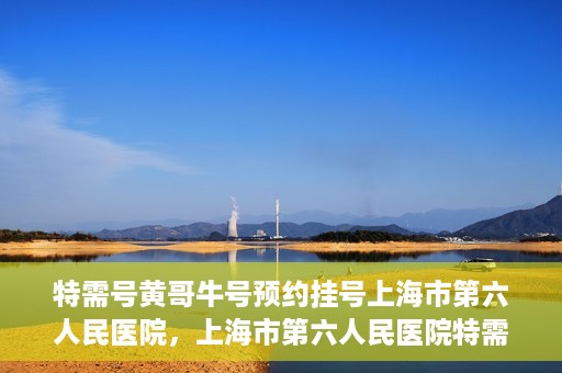 特需号黄哥牛号预约挂号上海市第六人民医院，上海市第六人民医院特需号黄哥牛号预约挂号指南