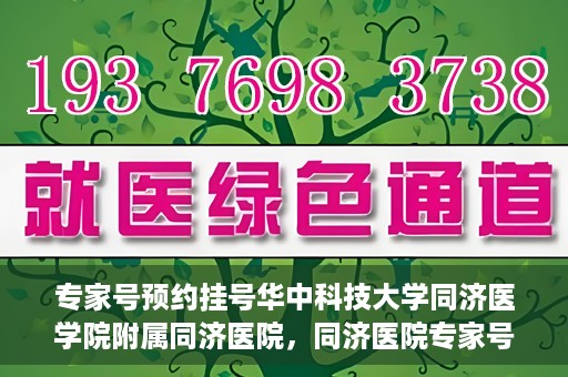 专家号预约挂号华中科技大学同济医学院附属同济医院，同济医院专家号预约挂号攻略，深度解析华中科技大学同济医学院附属同济医院医疗服务