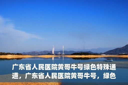 广东省人民医院黄哥牛号绿色特殊通道，广东省人民医院黄哥牛号，绿色特殊通道开启健康之门