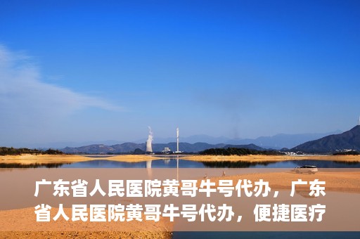 广东省人民医院黄哥牛号代办，广东省人民医院黄哥牛号代办，便捷医疗新途径