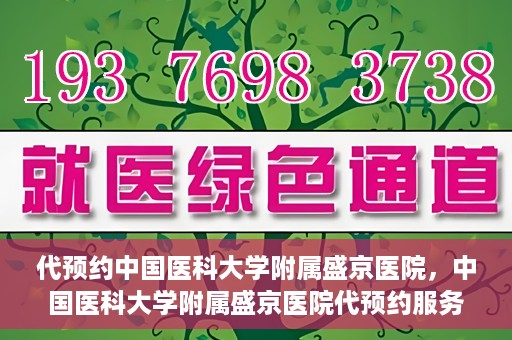 代预约中国医科大学附属盛京医院，中国医科大学附属盛京医院代预约服务指南
