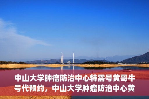 中山大学肿瘤防治中心特需号黄哥牛号代预约，中山大学肿瘤防治中心黄哥牛号特需预约服务解析