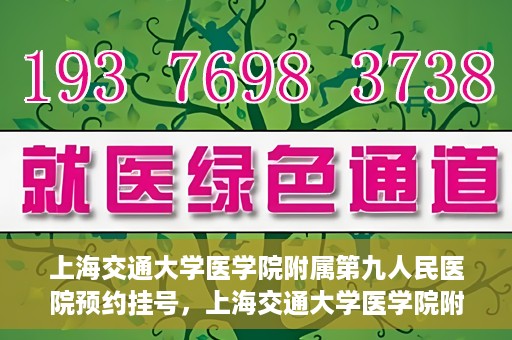 上海交通大学医学院附属第九人民医院预约挂号，上海交通大学医学院附属第九人民医院预约挂号指南，轻松挂号，便捷就医新体验