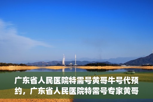 广东省人民医院特需号黄哥牛号代预约，广东省人民医院特需号专家黄哥牛号预约攻略