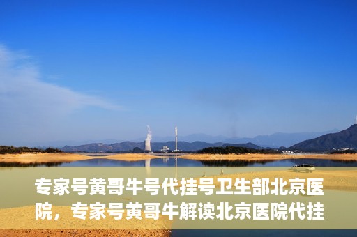 专家号黄哥牛号代挂号卫生部北京医院，专家号黄哥牛解读北京医院代挂号新政，卫生部权威解读与深度剖析