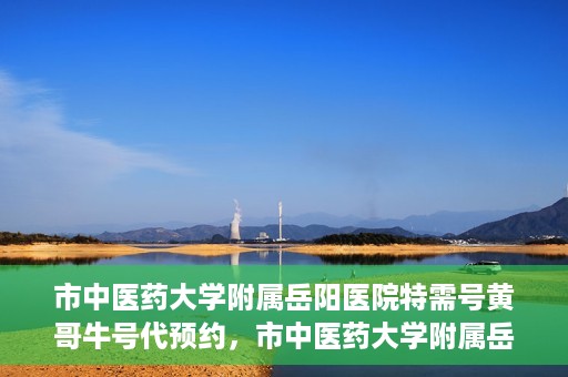 市中医药大学附属岳阳医院特需号黄哥牛号代预约，市中医药大学附属岳阳医院黄哥牛号特需预约服务解析