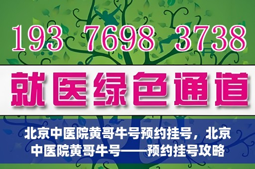 北京中医院黄哥牛号预约挂号，北京中医院黄哥牛号——预约挂号攻略