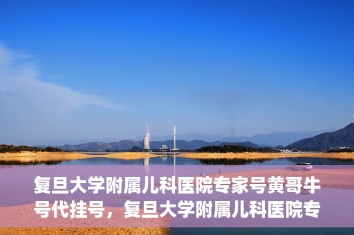 复旦大学附属儿科医院专家号黄哥牛号代挂号，复旦大学附属儿科医院专家号代挂号背后的故事，黄哥牛号的探索与解读