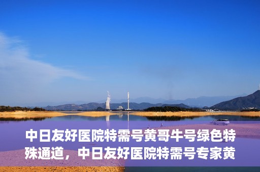 中日友好医院特需号黄哥牛号绿色特殊通道，中日友好医院特需号专家黄哥揭秘绿色就医通道的秘密