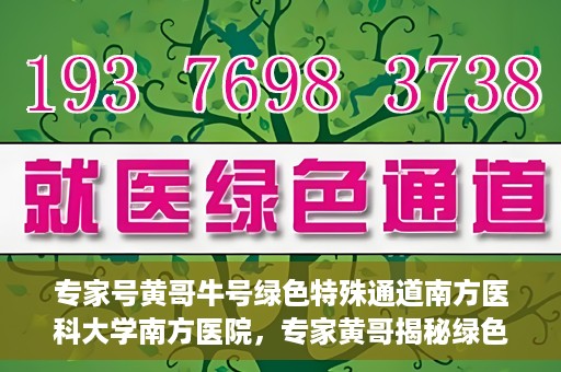 专家号黄哥牛号绿色特殊通道南方医科大学南方医院，专家黄哥揭秘绿色特殊通道，南方医科大学南方医院的深度探索