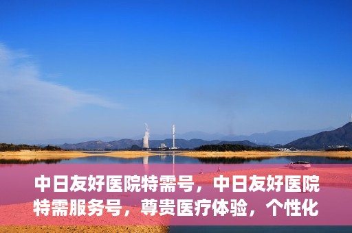 中日友好医院特需号，中日友好医院特需服务号，尊贵医疗体验，个性化健康守护