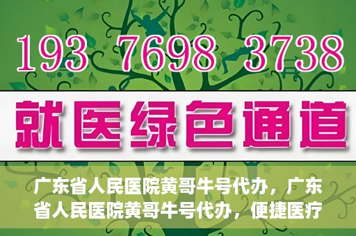 广东省人民医院黄哥牛号代办，广东省人民医院黄哥牛号代办，便捷医疗新途径