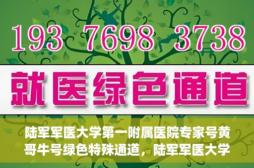 陆军军医大学第一附属医院专家号黄哥牛号绿色特殊通道，陆军军医大学第一附属医院专家号黄哥牛号，绿色特殊通道揭秘