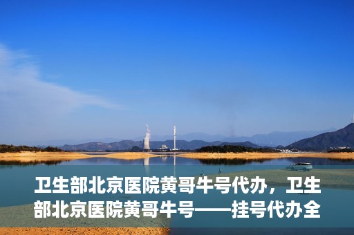 卫生部北京医院黄哥牛号代办，卫生部北京医院黄哥牛号——挂号代办全攻略