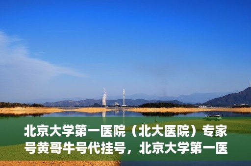 北京大学第一医院（北大医院）专家号黄哥牛号代挂号，北京大学第一医院专家号代挂号服务解析，黄哥牛号代挂号详解