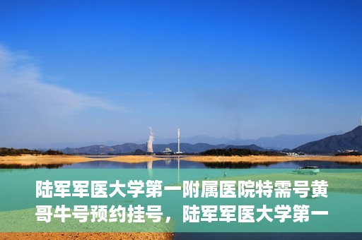 陆军军医大学第一附属医院特需号黄哥牛号预约挂号，陆军军医大学第一附属医院特需号预约挂号攻略，黄哥牛号助你轻松就医
