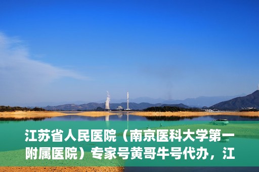 江苏省人民医院（南京医科大学第一附属医院）专家号黄哥牛号代办，江苏省人民医院专家号代办揭秘，黄哥牛号助您预约专家就医服务
