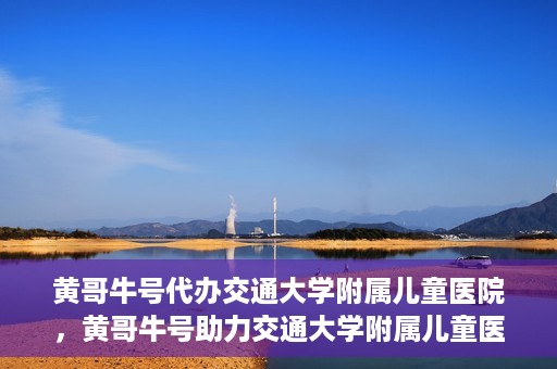 黄哥牛号代办交通大学附属儿童医院，黄哥牛号助力交通大学附属儿童医院代办服务