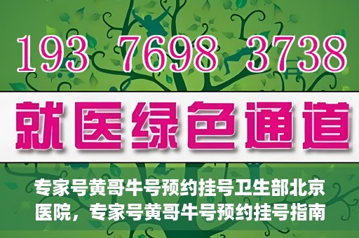 专家号黄哥牛号预约挂号卫生部北京医院，专家号黄哥牛号预约挂号指南，北京医院卫生部挂号攻略