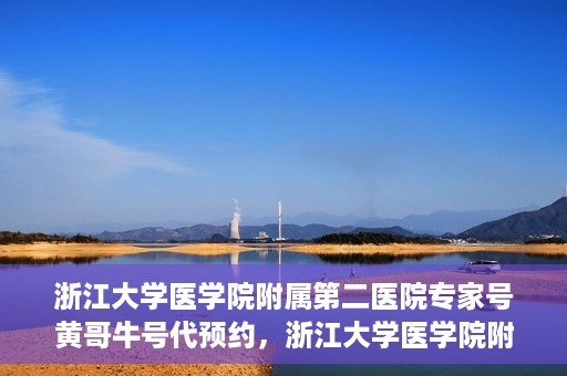浙江大学医学院附属第二医院专家号黄哥牛号代预约，浙江大学医学院附属第二医院专家号预约服务解析，黄哥牛号代预约详解