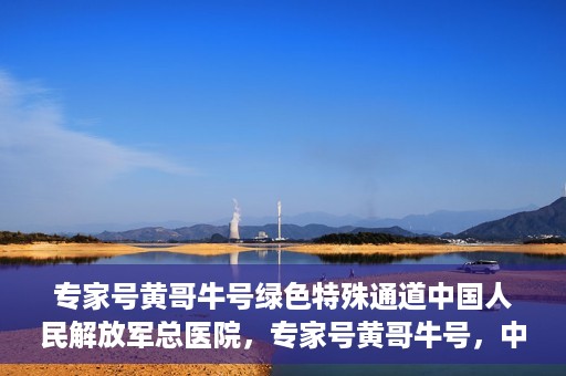 专家号黄哥牛号绿色特殊通道中国人民解放军总医院，专家号黄哥牛号，中国人民解放军总医院绿色特殊通道揭秘