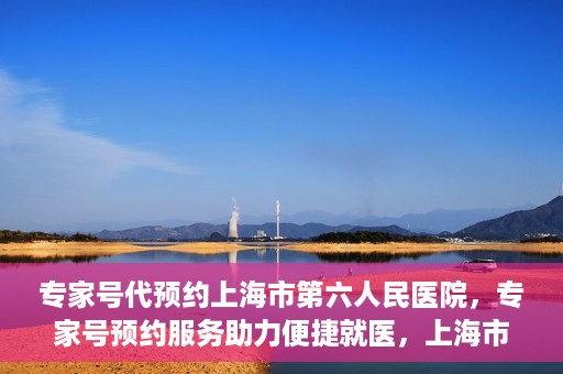 专家号代预约上海市第六人民医院，专家号预约服务助力便捷就医，上海市第六人民医院开启线上预约新篇章