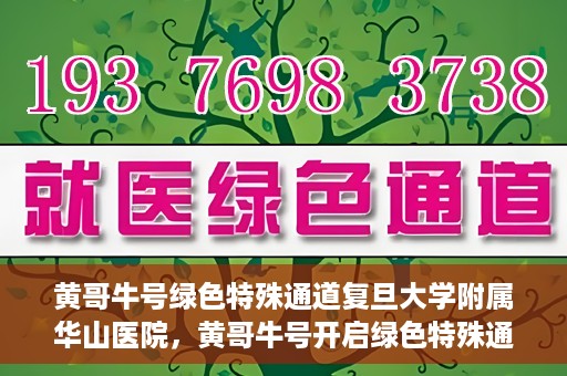黄哥牛号绿色特殊通道复旦大学附属华山医院，黄哥牛号开启绿色特殊通道，华山医院展现医疗新力量